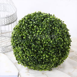 圖片,海量精選高清圖片庫 東方仿真植物源頭廠家